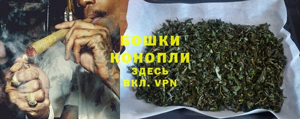 хмурый Лиски