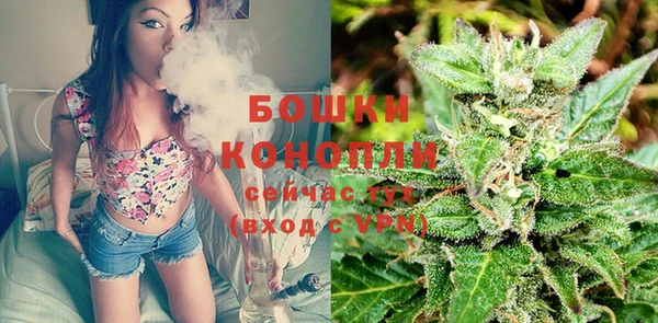 хмурый Лиски