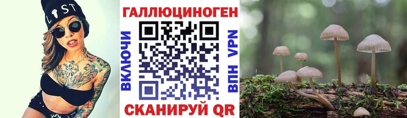 Галлюциногенные грибы Magic Shrooms  Нолинск 