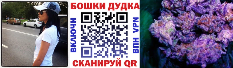 купить   Нолинск  Бошки марихуана OG Kush 